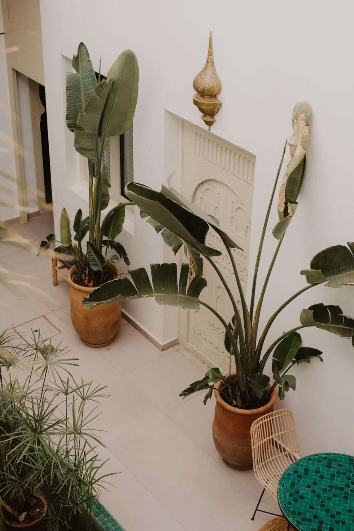 Riad Dar Blanche & Spa Marrakesh Buitenkant foto