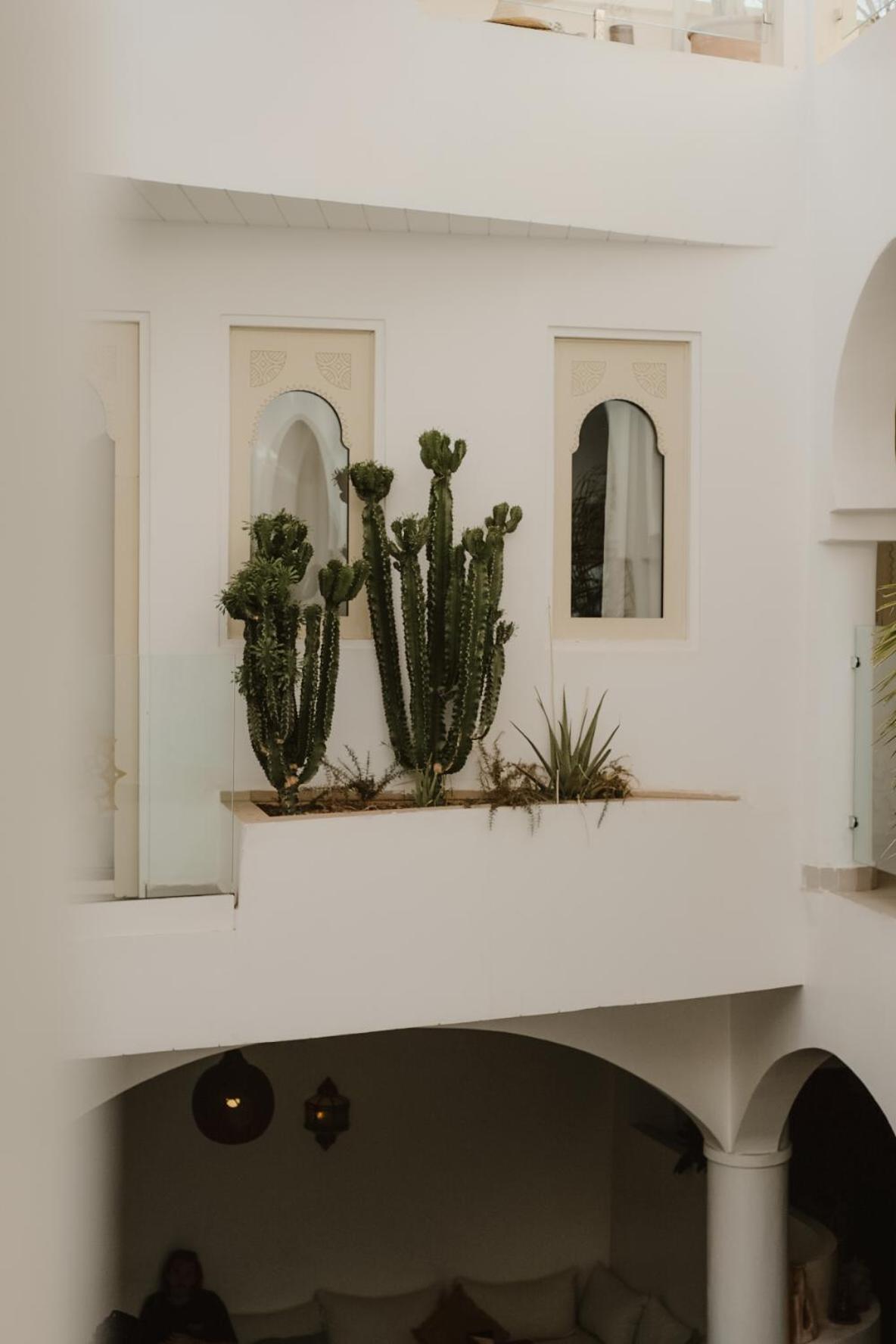 Riad Dar Blanche & Spa Marrakesh Buitenkant foto