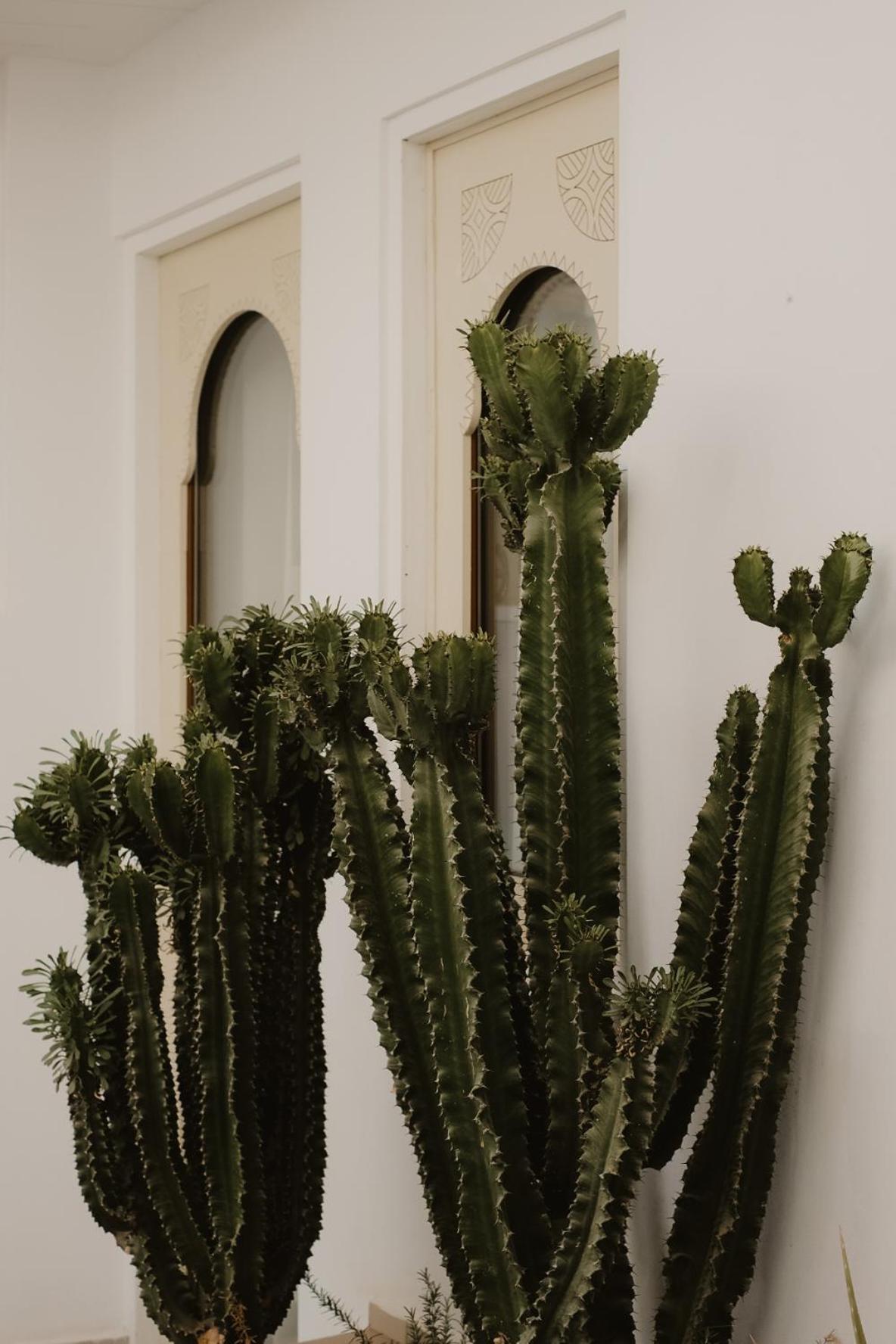 Riad Dar Blanche & Spa Marrakesh Buitenkant foto